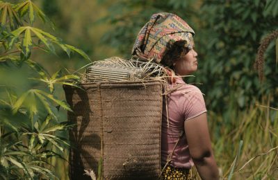 HANDEP, sebuah bisnis sosial yang menawarkan