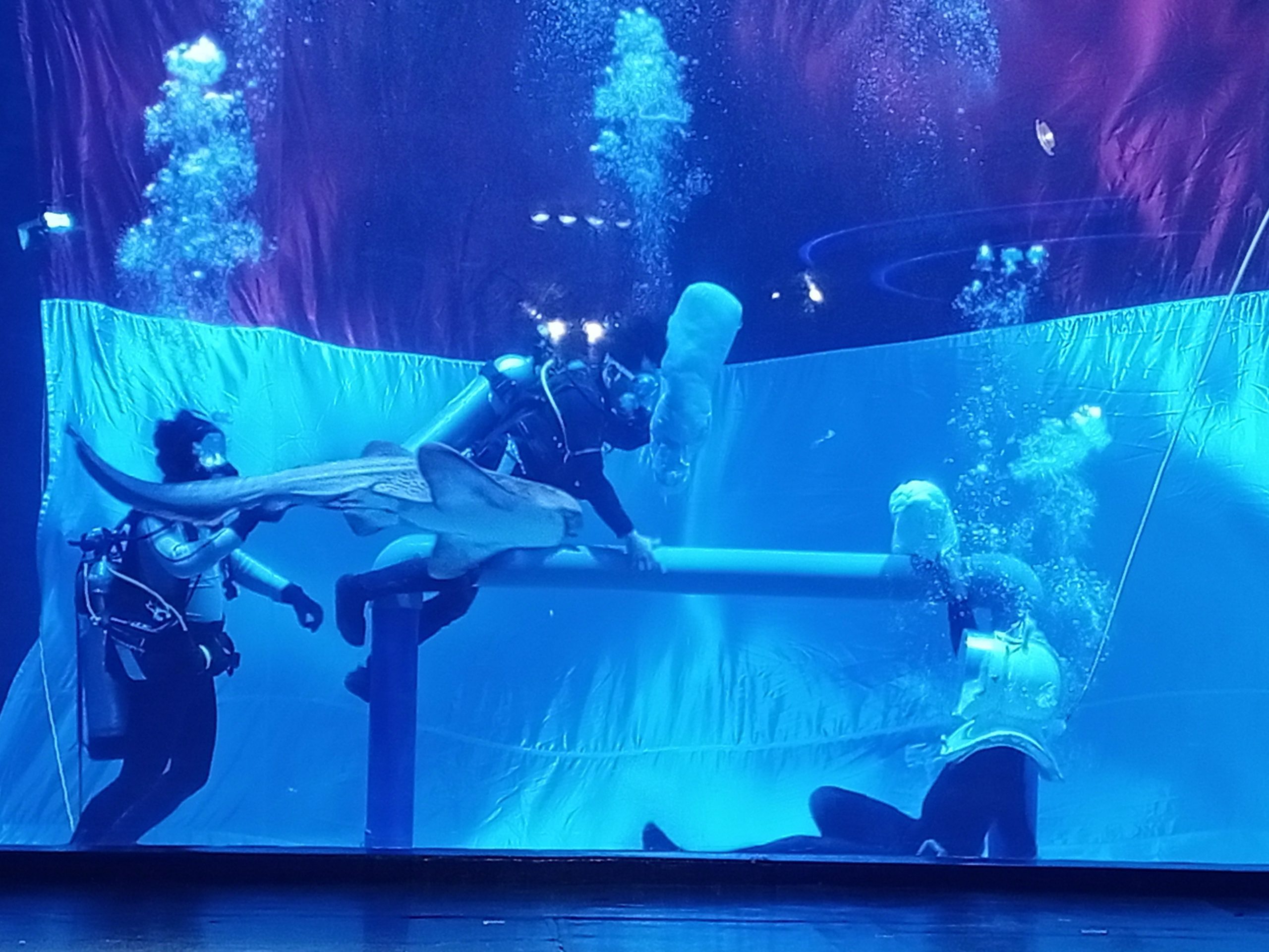 Jakarta Aquarium Safari yang 